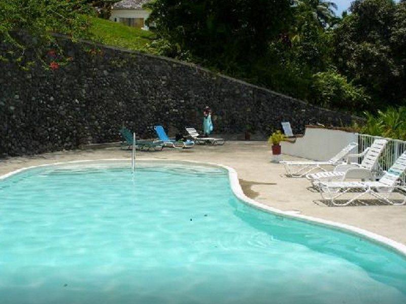 Fern Hill Club Hotel Порт-Антонио Экстерьер фото